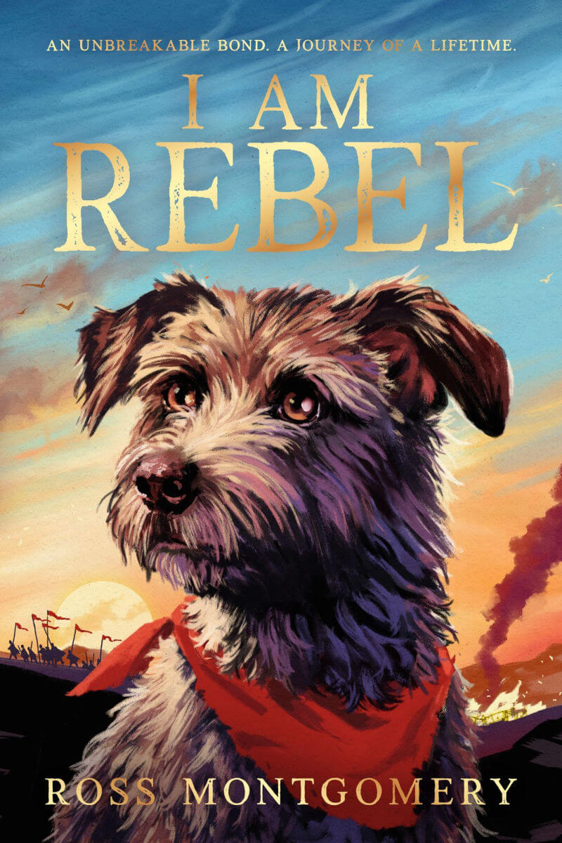 I Am Rebel Paperback Candlewick