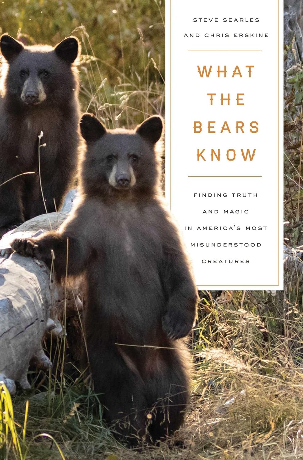 What the Bears Know Pegasus Books