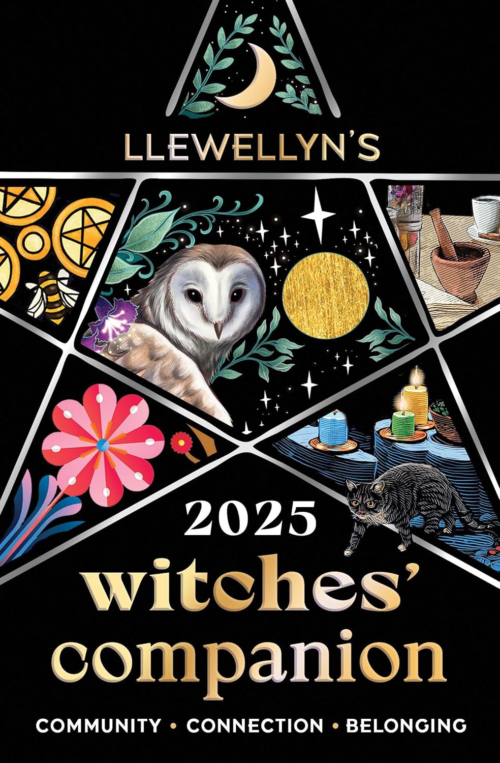 Llewellyn's 2025 Witches' Companion: Community Connection Belonging Llewellyn Publications