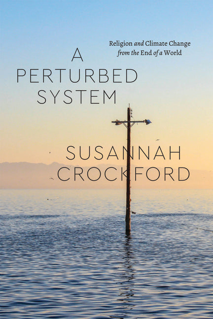 Paperback book titled "A Perturbed System: Religion and Climate Change from the End of a World" published by University of Chicago Press.
