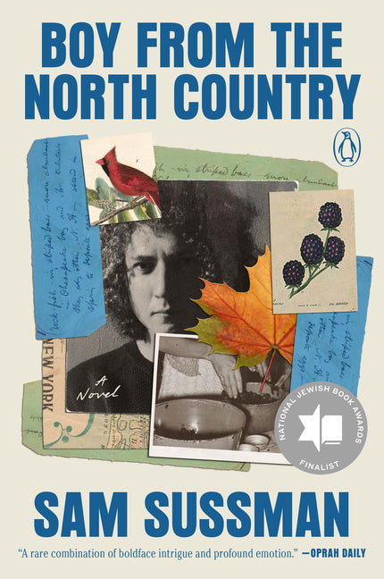 Paperback copy of "Boy from the North Country" by Penguin Books, featuring the book cover with title and author.