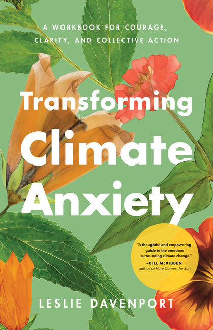 Paperback book titled "Transforming Climate Anxiety" by APA, featuring a cover with calming blue and green illustrations on climate activism.