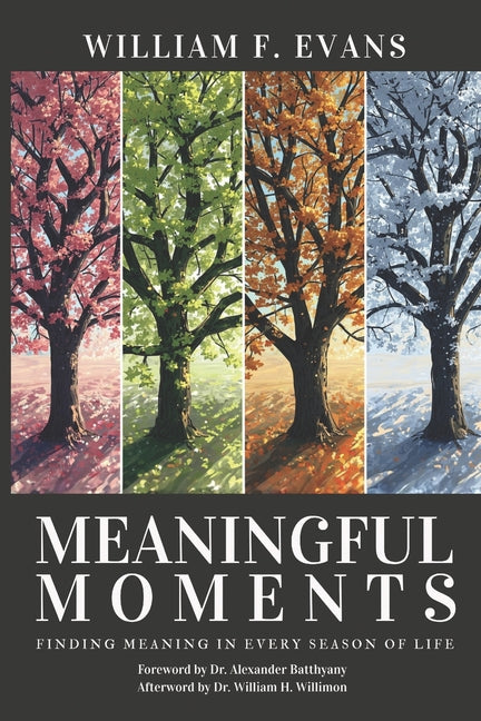 Paperback book titled "Meaningful Moments: Finding Meaning in Every Season of Life" by Advocate Press, with a peaceful cover design.
