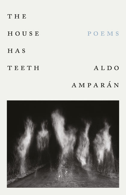 Paperback copy of "The House Has Teeth" by Alice James Books, featuring the book cover with bold typography and artistic design