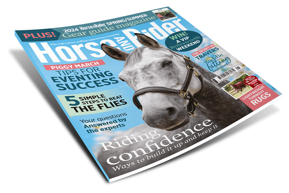 HORSE & RIDER - SureShot Books Publishing LLC