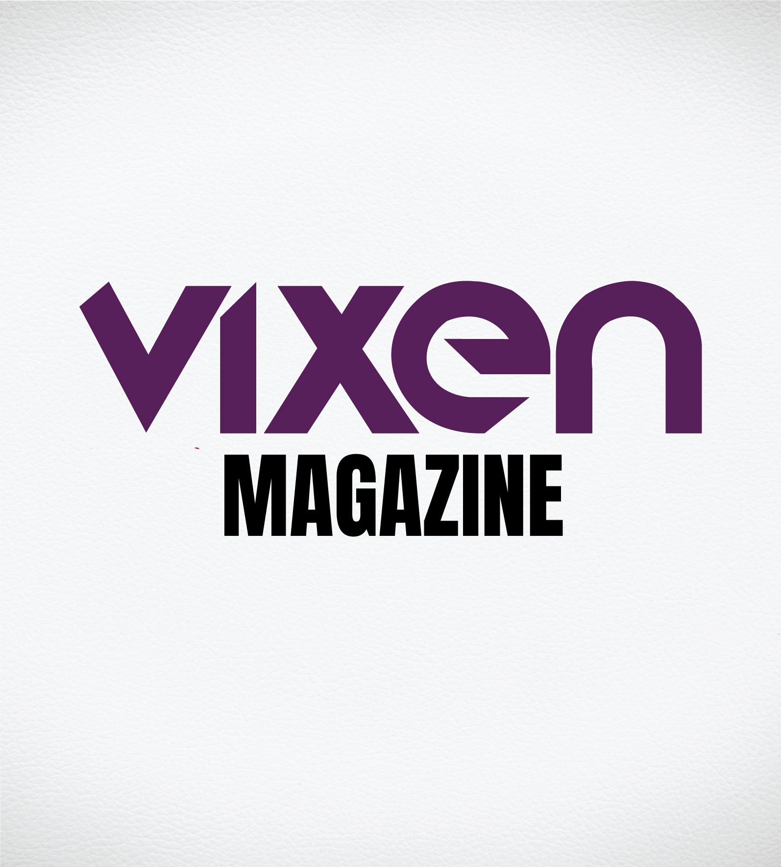 Vixen Premiere Issue adult entertainment magazine featuring cover model, with bold title and vibrant colors on the cover.