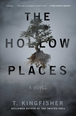 Paperback copy of The Hollow Places by Gallery Books showing the book cover with title and author details.