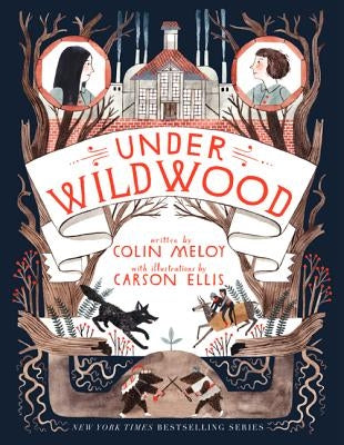 Under Wildwood Paperback Storytide