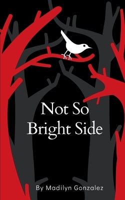 Not So Bright Side Paperback Bookleaf Publishing