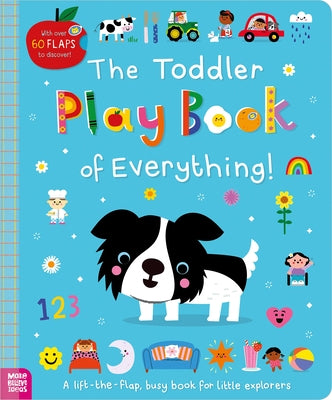 The Toddler Play Book of Everything! Board Book Make Believe Ideas