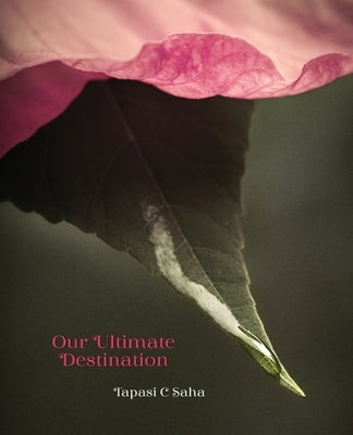 Our Ultimate Destination Paperback Paperback Ingram Spark