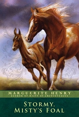 Stormy, Misty's Foal Paperback Aladdin Paperbacks