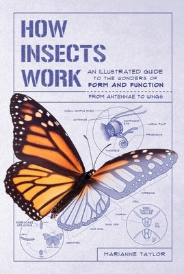 How Insects Work: An Illustrated Guide to the Wonders of Form and Function - From Antennae to Wings Paperback Experiment