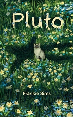 Pluto Paperback Bookleaf Publishing