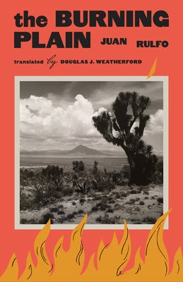 Paperback of The Burning Plain by University of Texas Press, featuring a cover with abstract flames and dark background.