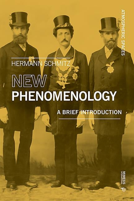 New Phenomenology: A brief introduction Paperback Mimesis