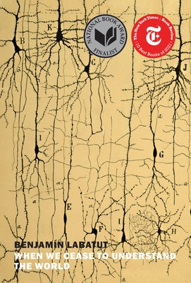 Paperback of "When We Cease to Understand the World" by New York Review of Books, showing the book cover with title and design.