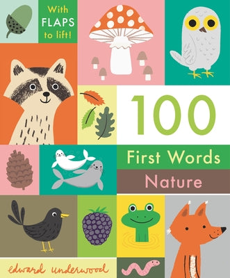 100 First Words: Nature: With Flaps to Lift Board Book Candlewick Press (MA)