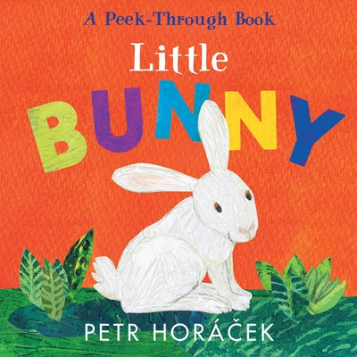 Little Bunny Board Book Candlewick Press (MA)