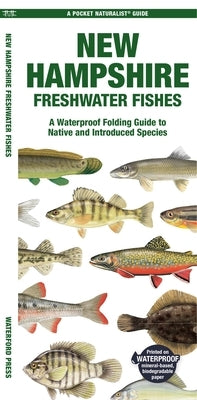 New Hampshire Freshwater Fishes Paperback Waterford Press