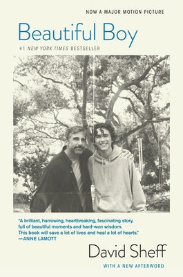 Paperback of Beautiful Boy by Mariner Books showing the book cover with a reflective design and title text.