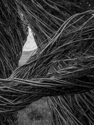 Patrick Dougherty James Florio: Sticks Hardcover Radius Books