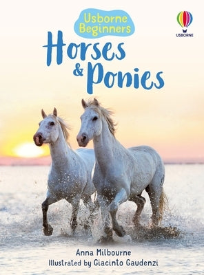 Paperback book titled "Horses and Ponies" by Usborne Books featuring colorful illustrations of horses and ponies.