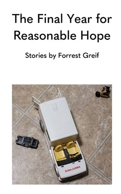 The Final Year for Reasonable Hope Paperback Sundodger Books