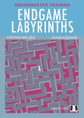 Endgame Labyrinths Paperback Quality Chess