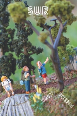 Sur Paperback Omnidawn