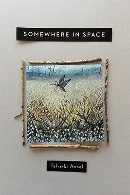 Somewhere in Space by Ansel, Talvikki