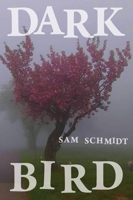 Dark Bird Paperback Galileo Press