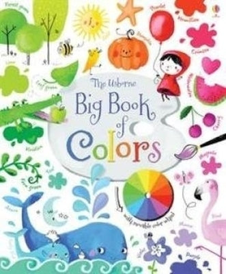 Usborne Big Book of Colors board book showing colorful pages with vibrant illustrations of various colors for children.