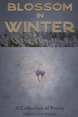 Blossom In Winter Paperback Lulu.com