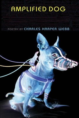 Amplified Dog Paperback Red Hen Press