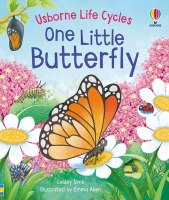 Colorful Usborne Books One Little Butterfly board book with vibrant illustrations and engaging design for young children.