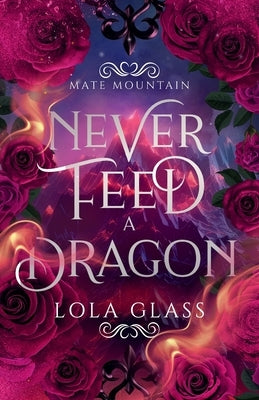 Never Feed a Dragon Paperback Glass Publishing