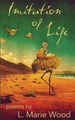 Imitation of Life Paperback Falstaff Books, LLC