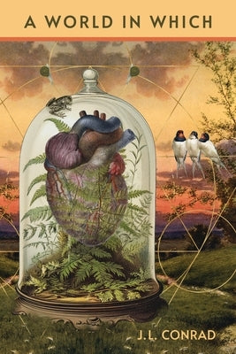 A World in Which Paperback Terrapin Books