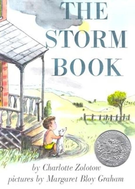 The Storm Book: A Caldecott Honor Award Winner Paperback HarperCollins