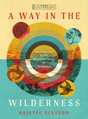Paperback Bible study book titled "A Way in the Wilderness" by IVP Bible Studies, with cover image showing desert landscape and title.