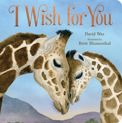 I Wish for You Board Book Roaring Brook Press