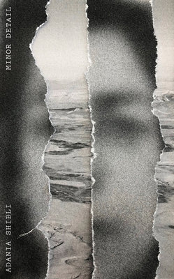 Paperback of Minor Detail by New Directions Publishing Corporation, showing the book cover with title and author details