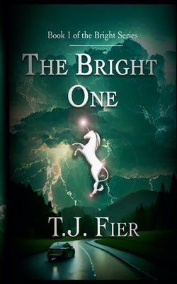 The Bright One Paperback T. J. Fier