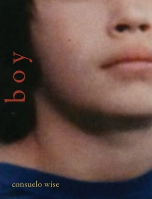 Boy Paperback Omnidawn