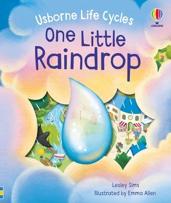 One Little Raindrop Board Book Usborne Books