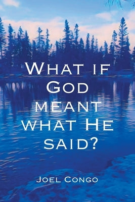 What if God Meant What He Said? Paperback FriesenPress