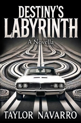 Destiny's Labyrinth, A Novella Paperback Urban Fiction