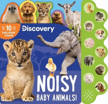 Discovery: Noisy Baby Animals! Board Book Silver Dolphin Books
