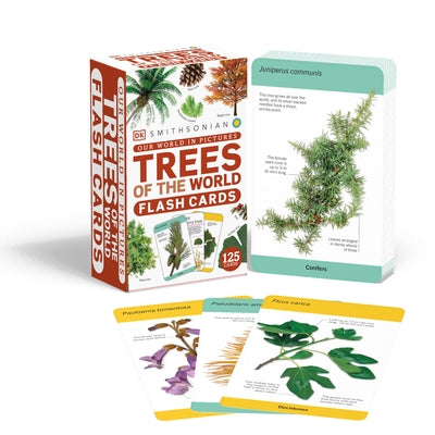 Our World in Pictures Trees of the World Flash Cards Other DK Publishing (Dorling Kindersley)